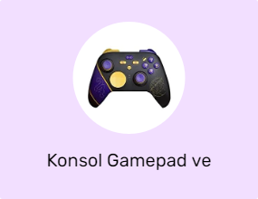 Konsol Gamepad ve Joystick