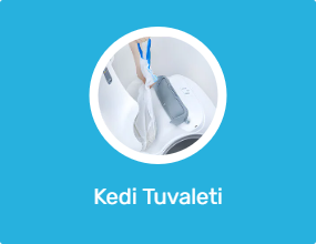 Kedi Tuvaleti