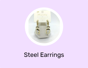 Steel Earrings