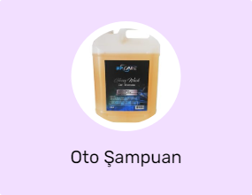 Oto Şampuan