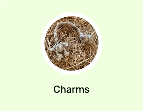 Charms
