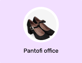 Pantofi office