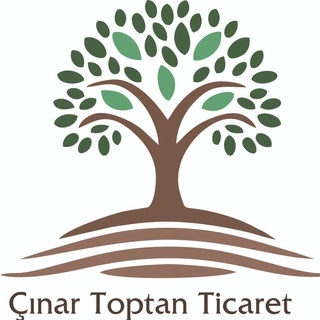 çınar toptan ticaret logo