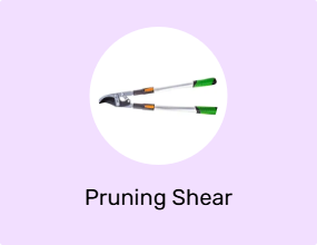 Pruning Shear