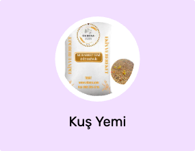 Kuş Yemi
