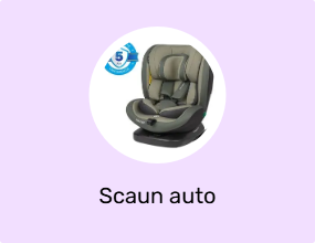 Scaun auto