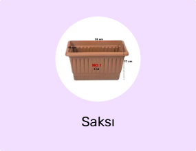 Saksı