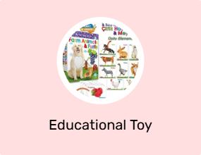 Educational Toy