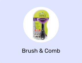 Brush & Comb