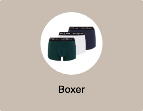 Boxer