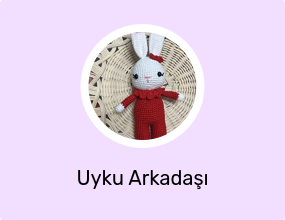 Uyku Arkadaşı