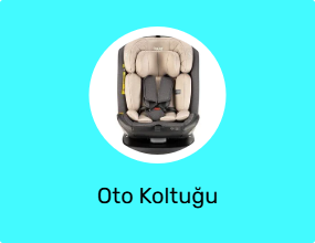 Oto Koltuğu