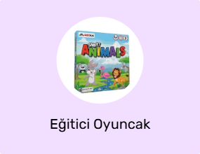 Eğitici Oyuncak