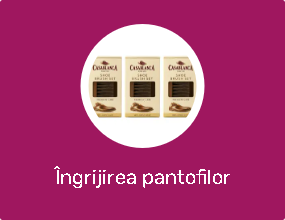 Îngrijirea pantofilor