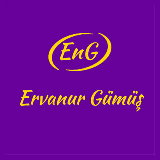 ERVANUR logo