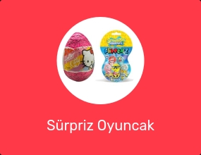 Sürpriz Oyuncak Figürü