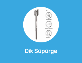 Dik Süpürge