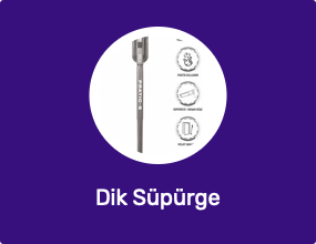 Dik Süpürge