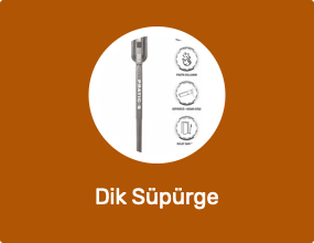 Dik Süpürge