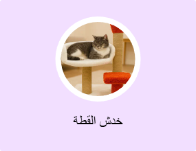 خدش القطة