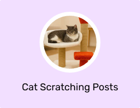 Cat Scratching Posts