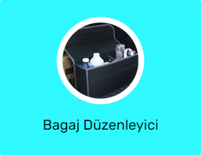 Bagaj Düzenleyici