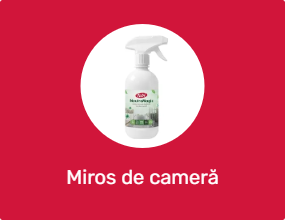 Miros de cameră