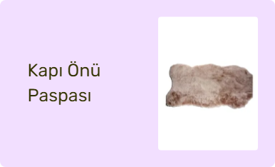 Kapı Önü Paspası