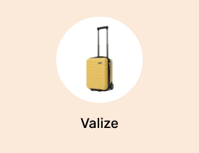 Valize