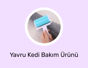 Yavru Kedi Bakım Ürünü