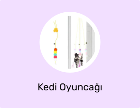 Kedi Oyuncağı