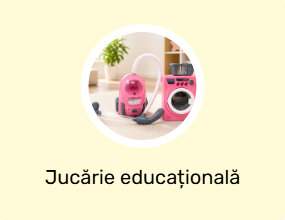 Jucărie educațională