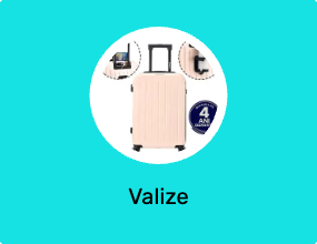 Valize