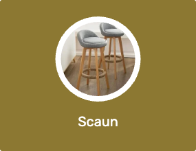 Scaun