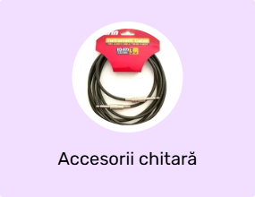Accesorii chitară