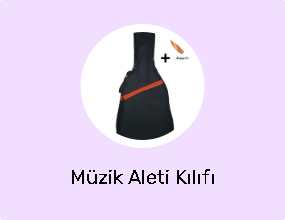 Müzik Aleti Kılıfı