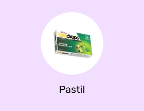 Pastil