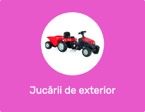 Jucării de exterior