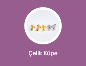 Çelik Küpe