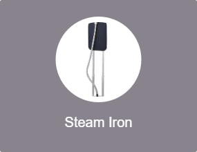 Steam Iron