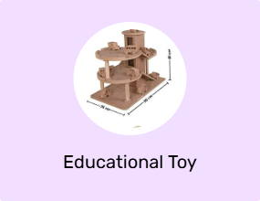 Educational Toy