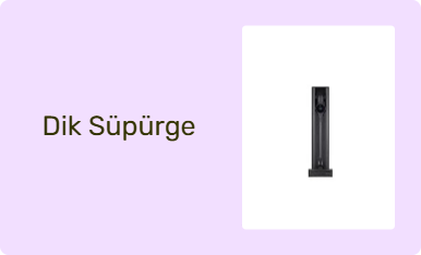 Dik Süpürge