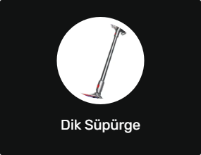 Dik Süpürge
