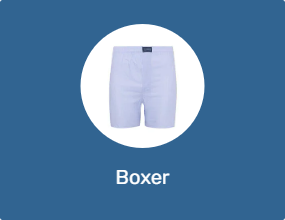 Boxer