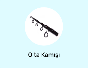 Olta Kamışı