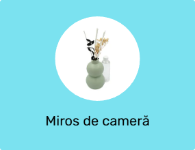 Miros de cameră