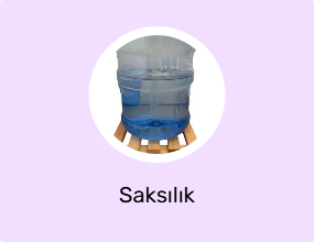 Saksılık