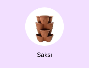 Saksı
