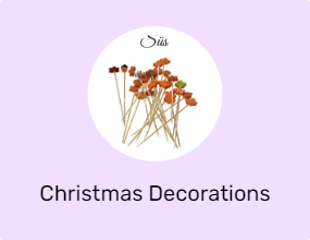 Christmas Decorations