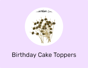 Birthday Cake Toppers
